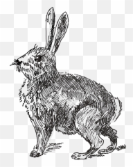 Clipart Png