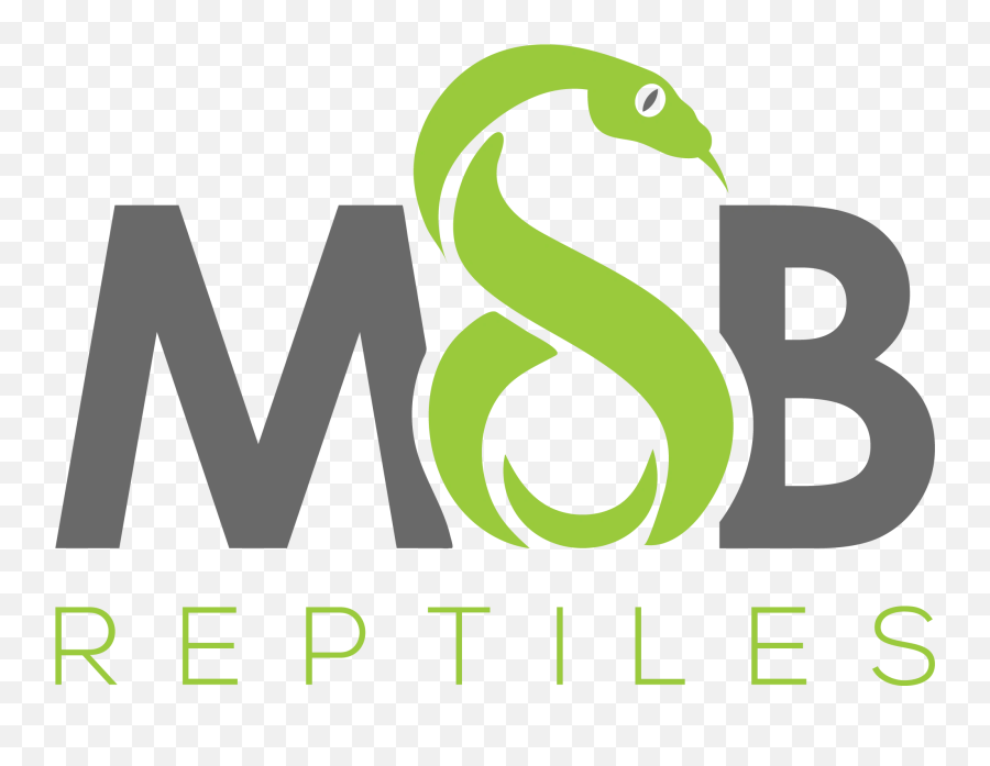 Msb Reptiles - Reptiles Snakes Breeder Graphic Design Png,Reptiles Png