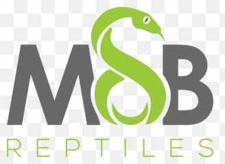 Msb Reptiles - Reptiles Snakes Breeder Graphic Design Png,Reptiles Png