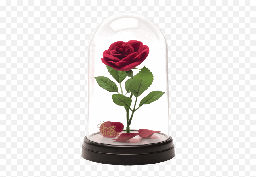 Beast Rose Png - Beauty And The Beast Rose,Beauty And The Beast Rose Png