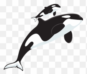Donations Helpthewhales - Clip Art Png,Orca Png