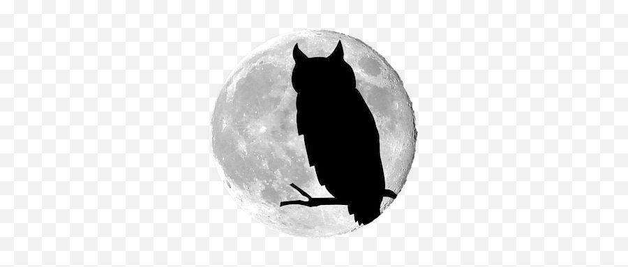 Owl Moon Png Womenu0027s T - Shirt Owl Moon Png,Made In Usa Png