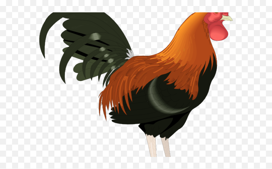 Rooster Clipart Png Transparent - Rooster Clipart Png,Chicken Clipart Transparent Background