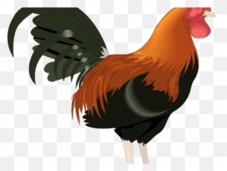 Rooster Clipart Png Transparent