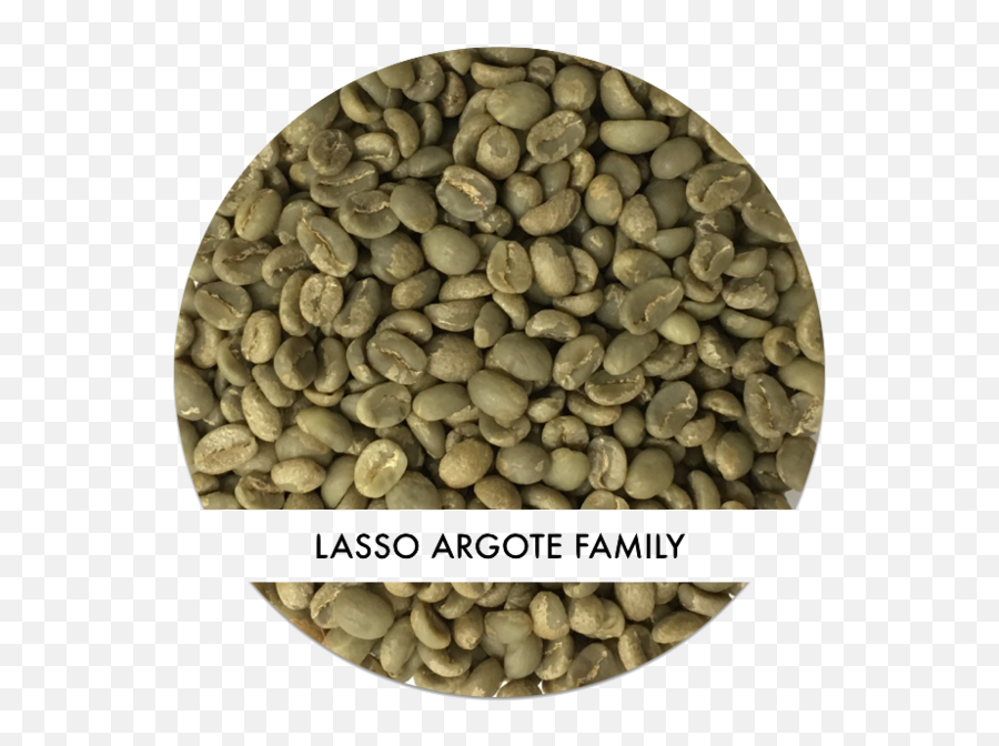Lasso Argote Family Lot This Side Up Png