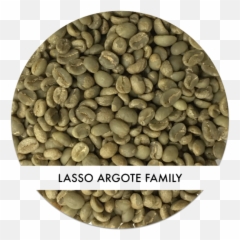 Lasso Argote Family Lot This Side Up Png