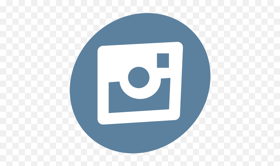 Network Photo Pictures Seo Social Icon - Basilica Png,Logo De Instagram Png