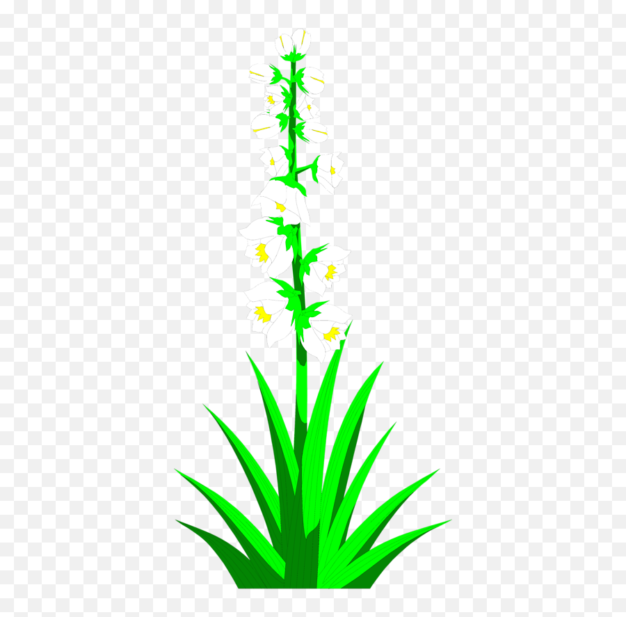 Plant Clipground Clip Art - Yucca Plant Clipart Png,Yucca Png