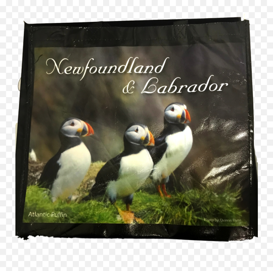 Puffin Reusable Bag Historic Sites Png