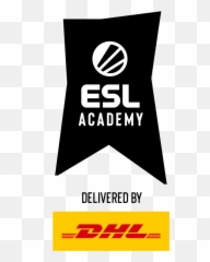 Esl Academy Delivered - Triangle png