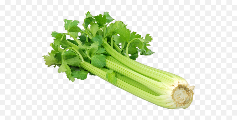 Celery - Green Vegetables Full Size Png Download Seekpng Green Vegetables,Celery Png