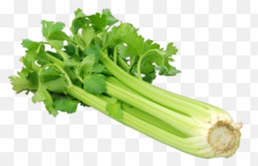 Celery - Green Vegetables Full Size Png Download Seekpng Green Vegetables,Celery Png