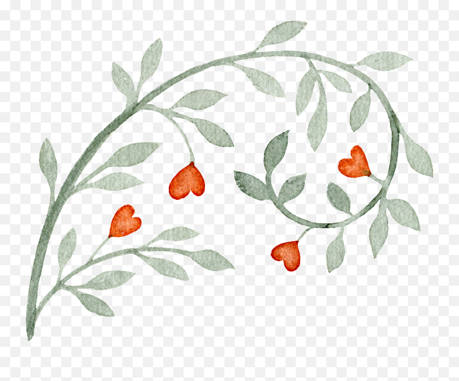 Download Love Gray Vine Decoration Vector - Shalomjewelry Hoa Dây Leo V Png,Tiny Png