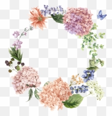 Hydrangea Flower Drawing Illustration - Purple Floral Circle Png,Hydrangea Png