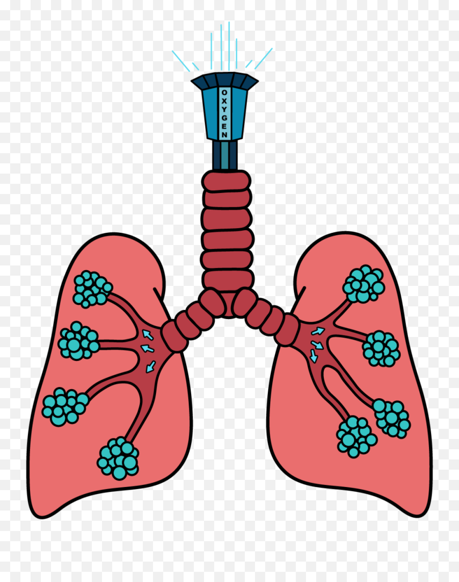 Drop Tower Lung Ride To Go Along With The Theme Park - Lung Clip Art Png,Lung Png