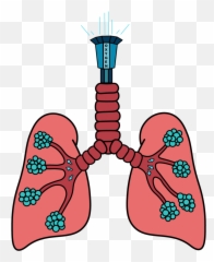 Drop Tower Lung Ride To Go Along With The Theme Park - Lung Clip Art Png,Lung Png