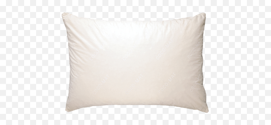 Homepage - Cocomat Solid Png,Body Pillow Png