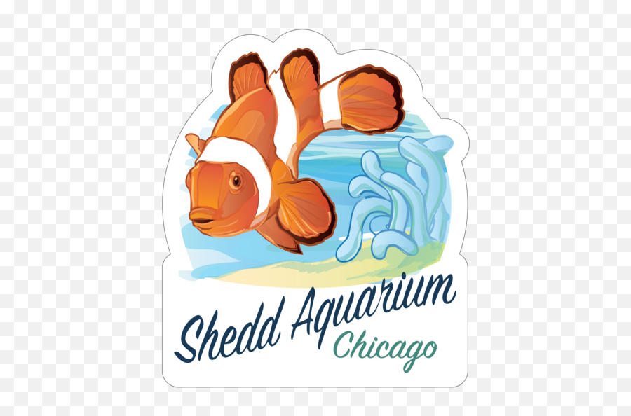 806 - Digicolor Clownfish Aquarium Fish Png,Clownfish Png