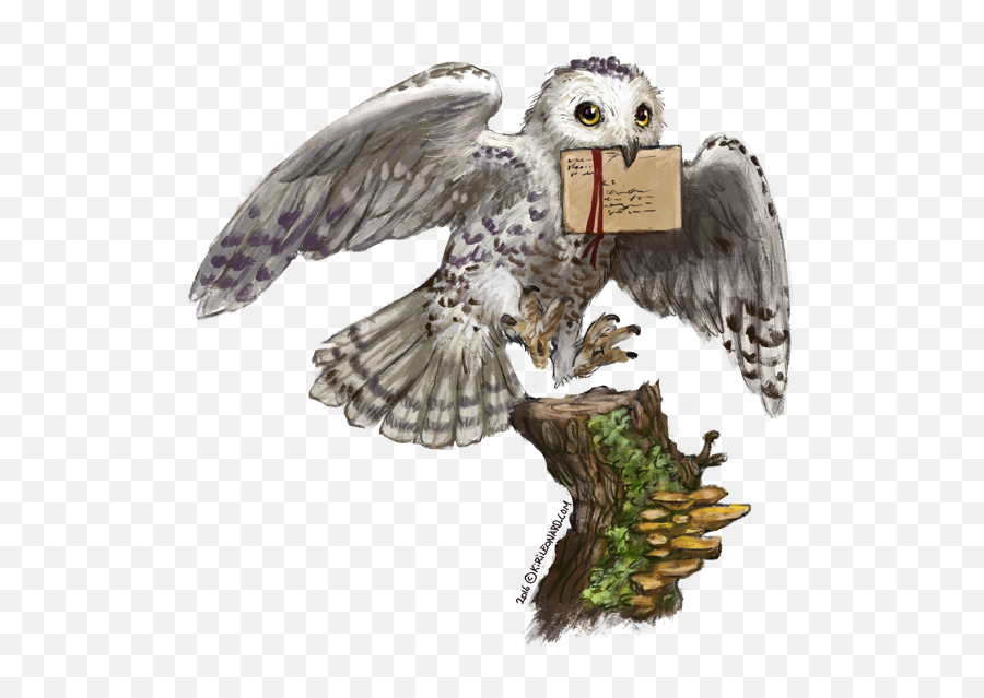 Hedwig Png 7 Image - Letter Owl Harry Potter,Hedwig Png