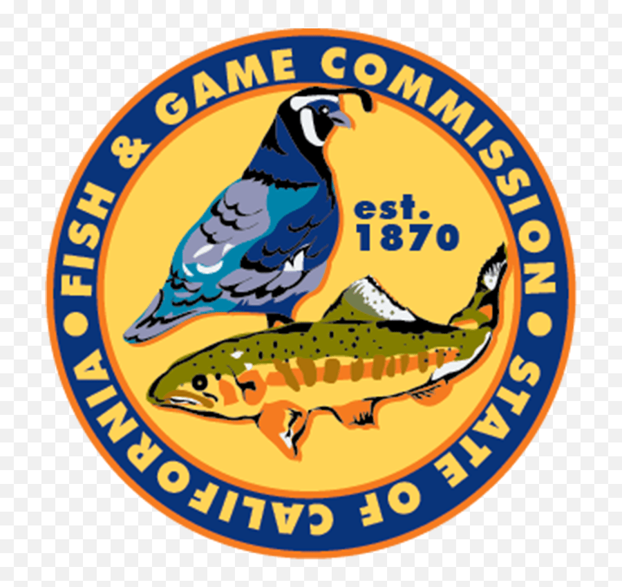 Striped Bass U2013 Cdfw News - California Fish And Game Commission Logo Png,Bass Fish Logo