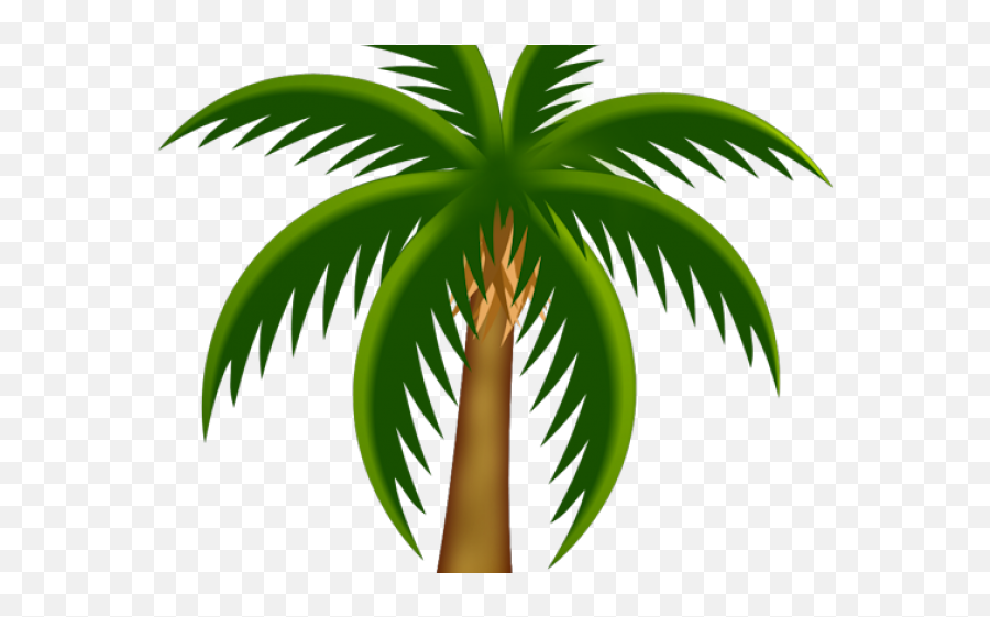 Palm Tree Clipart Pom - Dates Tree Vector Png Drawings Of Palm Trees Colored,Palm Tree Vector Png