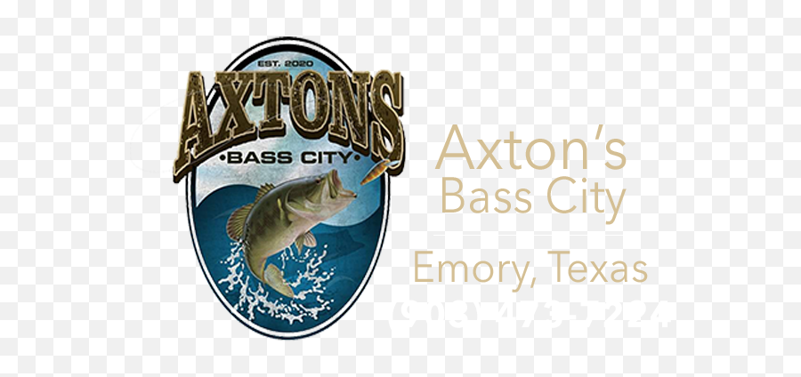 Axtonu0027s Bass City Home - Salmonids Png,Largemouth Bass Png