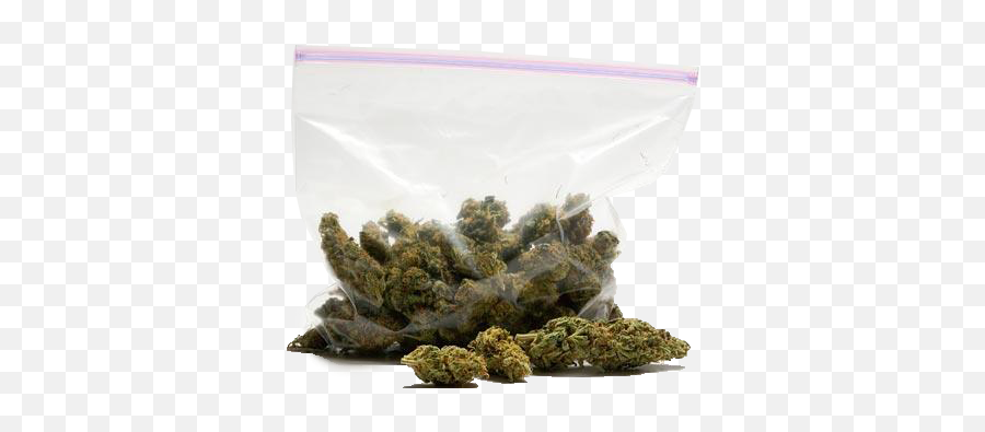 Download Free Png Collection Of Weed Transparent Bags - Bag Of Weed Transparent Background,Weed Png