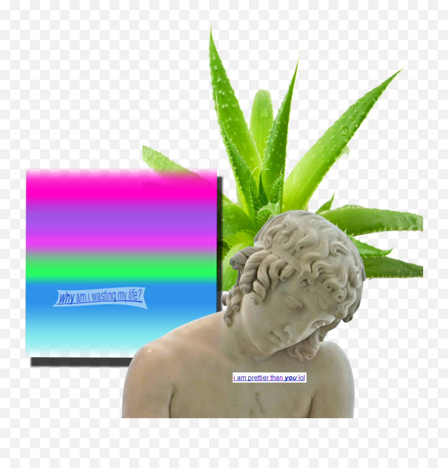 Corpore Sano Soap Aloe Vera Plant 100 Gr Full Size Png - Narcissus Greek God Sculpture,Aloe Vera Plant Png