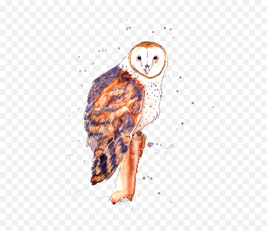 Barn Owl Weekender Tote Bag For Sale - Barn Owl Png,Barn Owl Icon