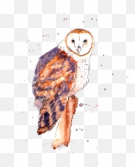 Barn Owl Weekender Tote Bag For Sale - png