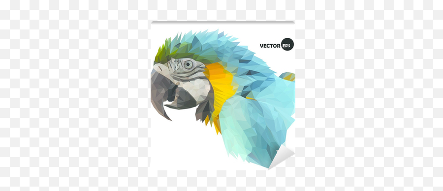 Wall Mural Macaw Parrots Head Visual Identity In Low Polygon - Pixersus Macaw Head Png,Macaw Icon