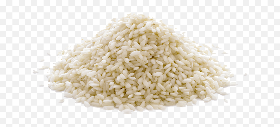 Rice Png Photo - Transparent Rice Png,Rice Transparent Background