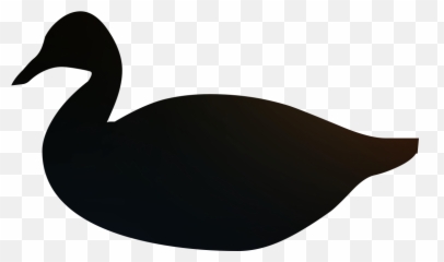 Duck Goose Sea Turtle Silhouette - Png Download 17001200 Goose Sticker,Goose Transparent