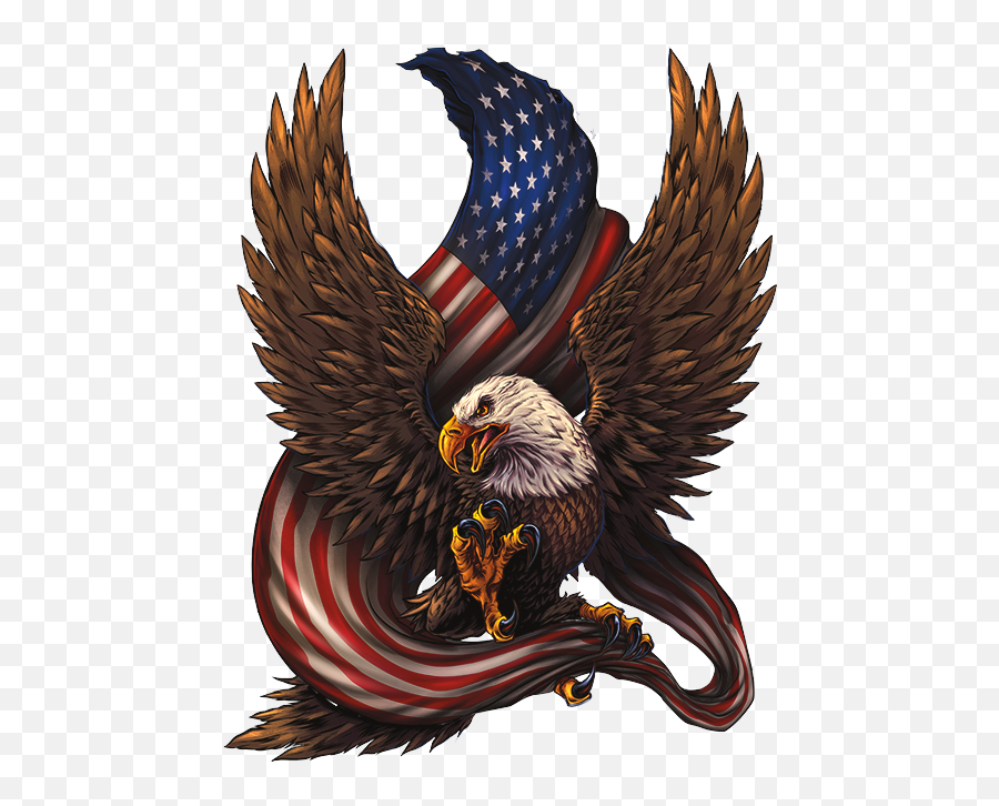 Hd American Patriotic Bald Eagle Free Unlimited Download Png Head
