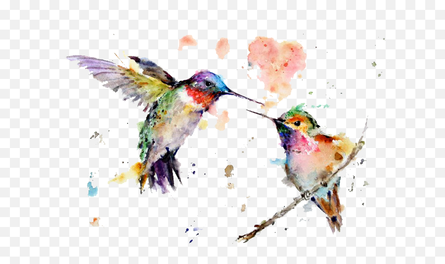 Watercolor Art Painting Drawing - Wildlife Watercolor Paintings Png,Hummingbird Transparent