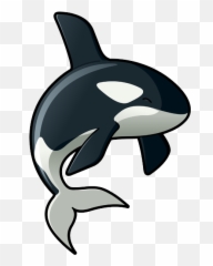 Killer Whale Png - Killer Whale Cartoon Png,Orca Png