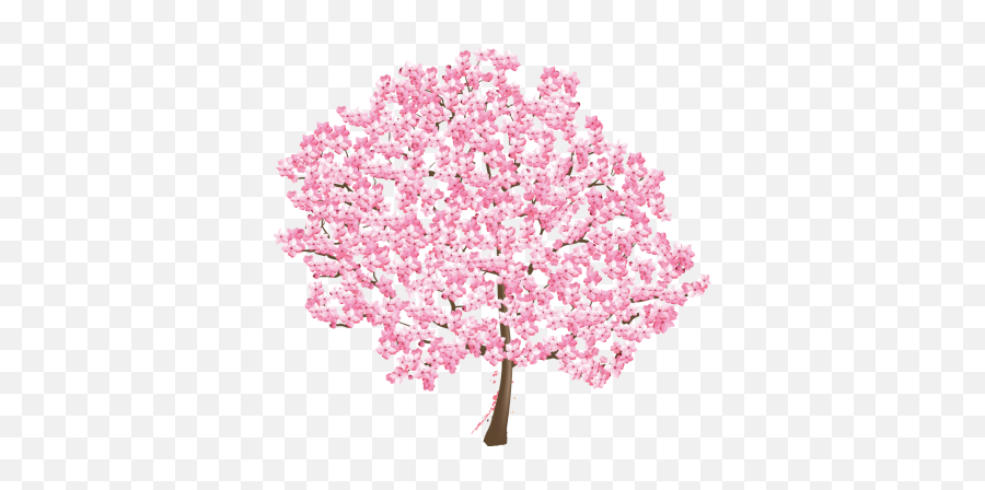 Saa Tree In Full Bloom - April Newsletter Cherry Blossom Png,Cherry Blossom Tree Png