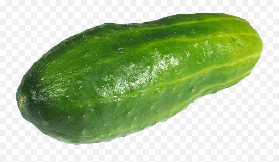 Bitter Gourd Clipart Png - Cucumber Transparent Background,Gourd Png