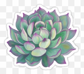 Succulent Plant - Aesthetic Succulents Drawing Png,Succulent Png