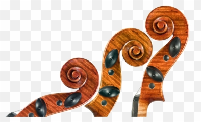 Violin U0026 Viola Teacher Hampstead Golders Green Belsize - String Quartet Png,Viola Png