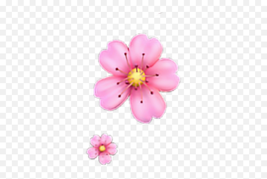 Floweremoji Flower Emoji Iphone - Flower Emoji Png Transparent,Flower Emoji Png