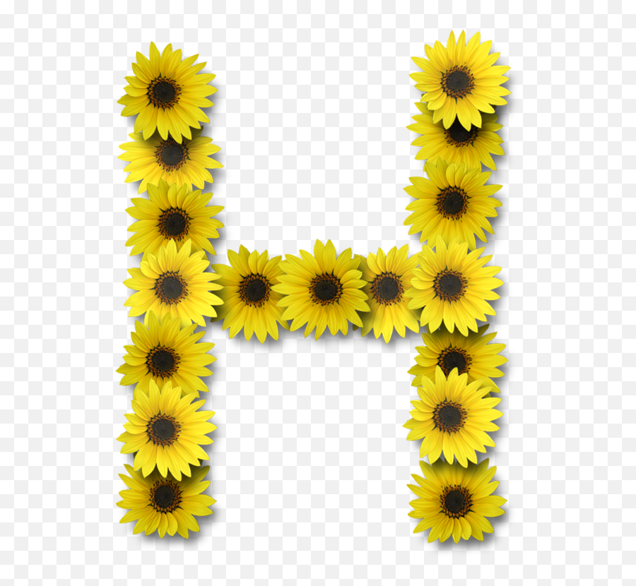 Alfabeto Sunflowers - Alphabet Sunflower Letters Png,Sunflower Emoji Transparent