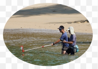Beach Monitoring Programme - Cast A Fishing Line Png,Beach Transparent