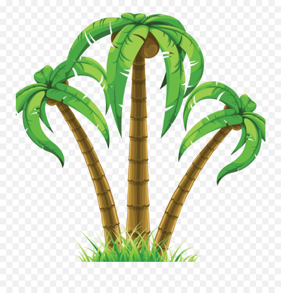 Palm Leaf Png - Tropical Tree Clipart Png,Palm Trees Transparent
