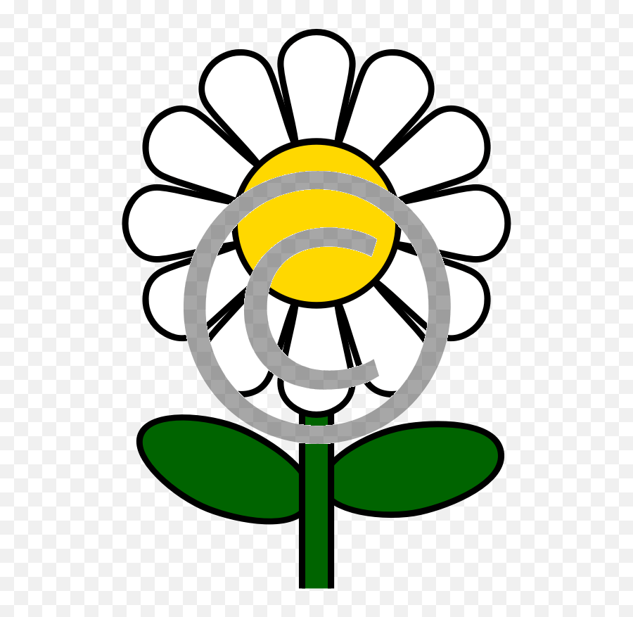 Free Daisy Coloring Pages - Daisy Flower Cartoon Drawing Png,White Daisy Png