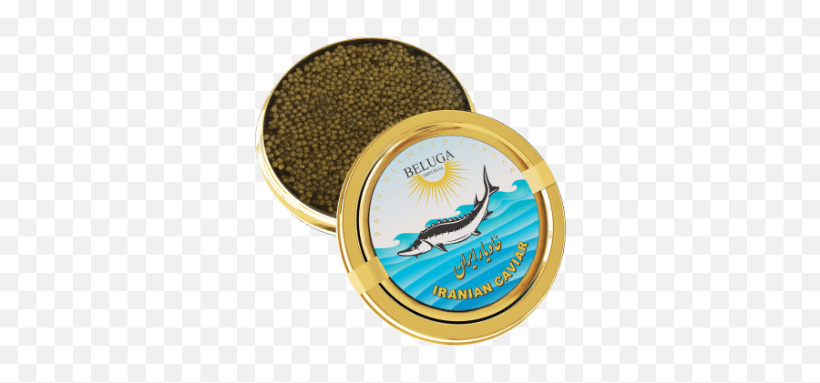 Pars Diamond Caviar U2013 - Swordfish Png,Caviar Png