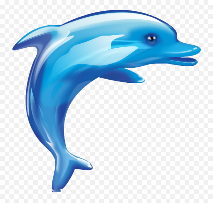 Dolphin Cartoon Cuteness - Dolphinanimallovely Png Cartoon Dolphin Png,Dolphin Transparent Background