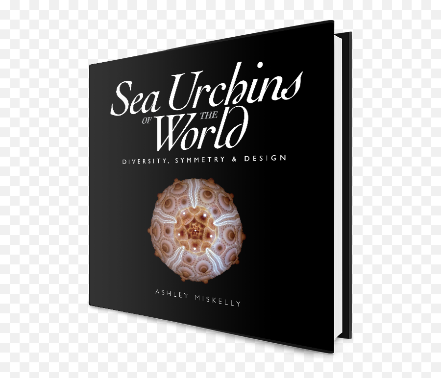 Ashley Miskelly - Sea Urchins Of The World Book Cover Png,Sea Urchin Png