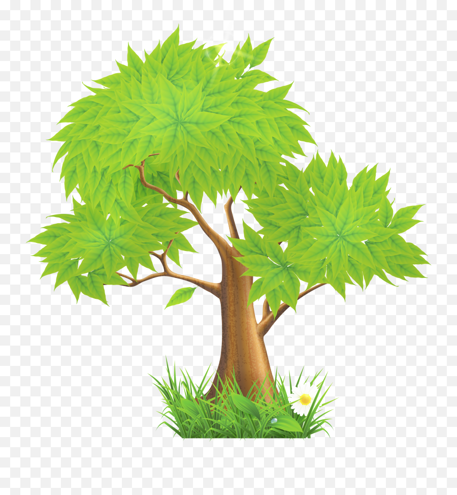 Eucalyptus Clipart Forest Tree Full Size Png Download - Trees Clip Art Png,Forest Tree Png