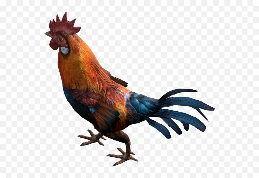 Rooster - Dayz Wiki Rooster Transparent Png,Rooster Png